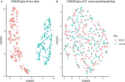 Network-Based Discovery of Opioid Use Vulnerability in Rats Using the Bayesian Stochastic Block Model